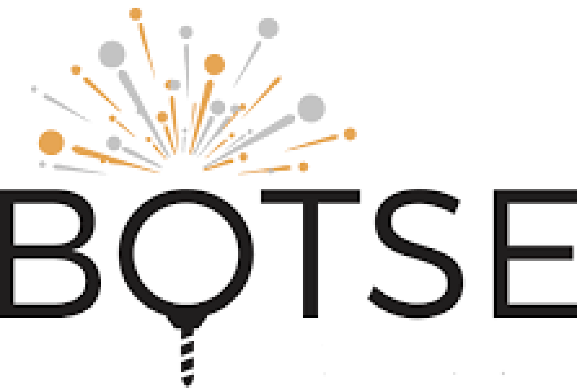 Botse